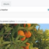 BuddyBoss Media - 5 Licenses
